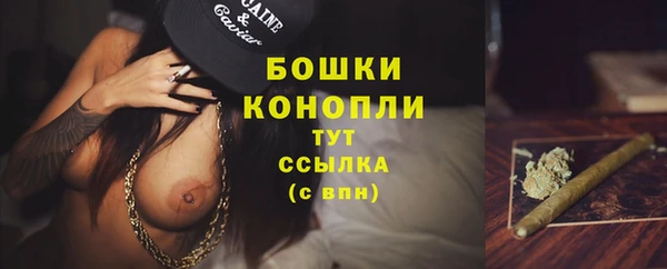 сатива Абдулино