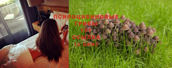 сатива Абдулино