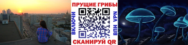 Галлюциногенные грибы прущие грибы  МЕГА ONION  Отрадная 